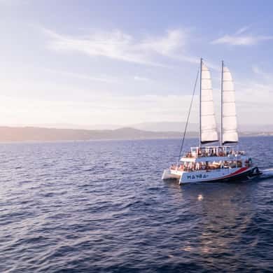A catamaran under sail on a calm evening sea