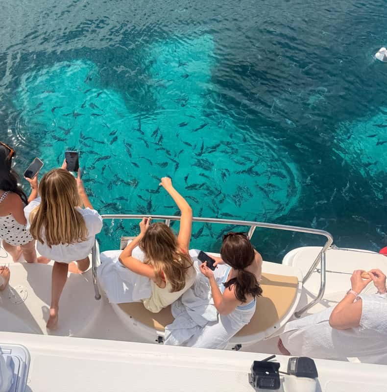 Magical catamaran cruise tour in Cannes! Stand-up paddleboarding and snorkeling